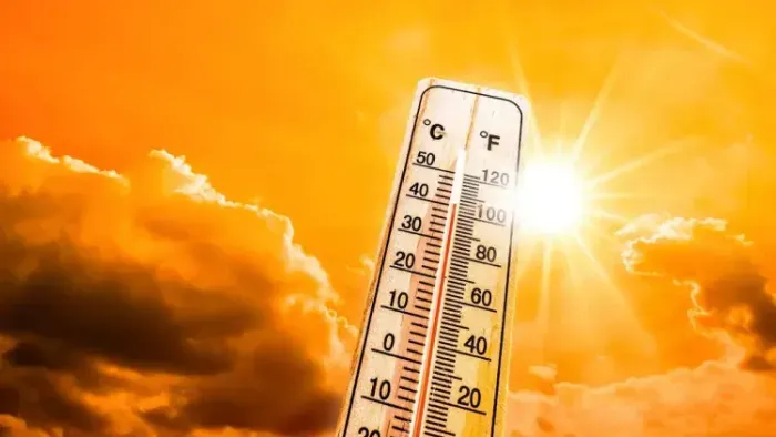 Taroudant Hits 48.6°C: Severe Heatwave Alerts Across Morocco