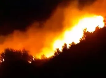 Heightened Vigilance Due to Forest Fire Risks in Taza Region