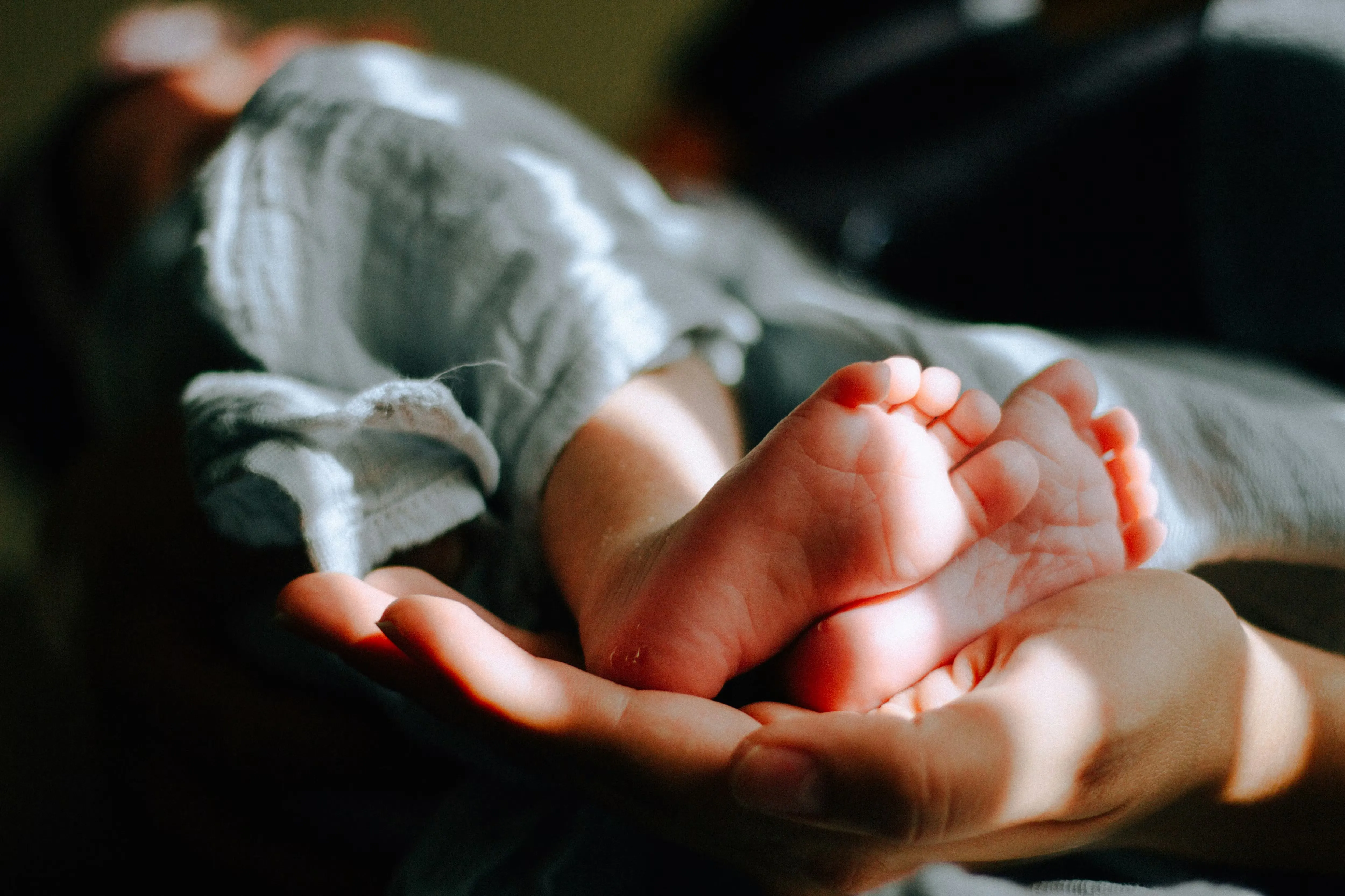 Regional Fertility Disparities in Morocco: Insights from 2024 Data