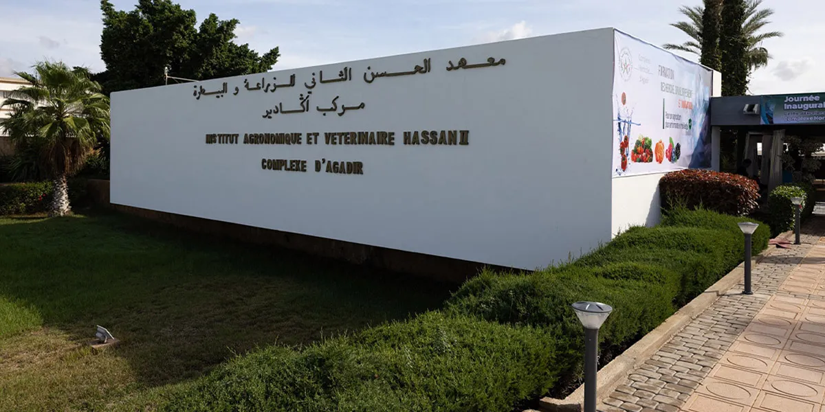 Agadir Invests 5.2 Million Dirhams in New Veterinary Laboratory