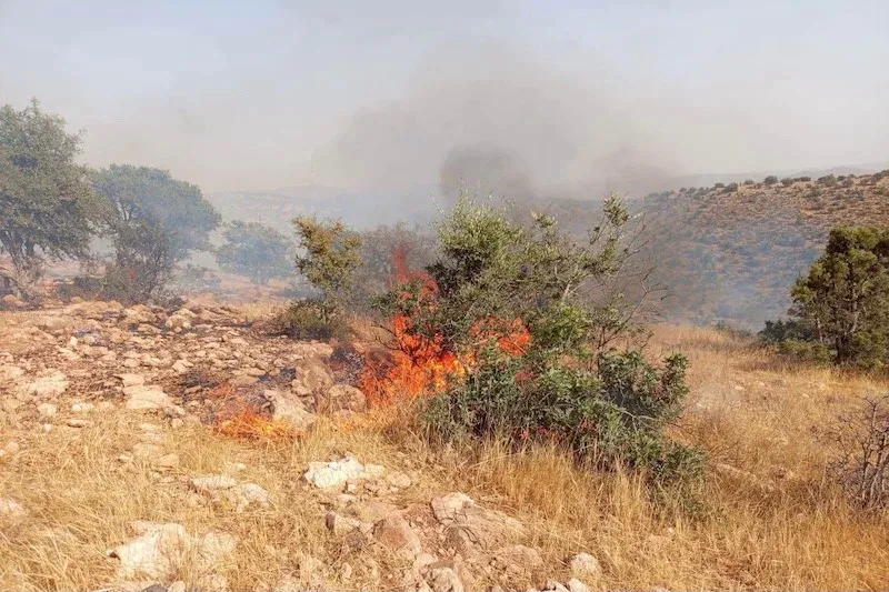 Wildfire Near Agadir Contained Amidst Challenging Winds