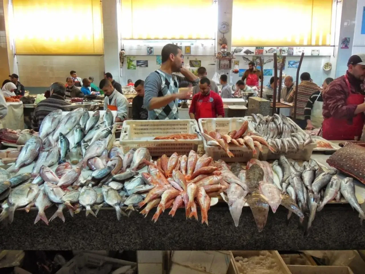 AMDH Critiques New Access Regulations for Fish Market in Marrakech