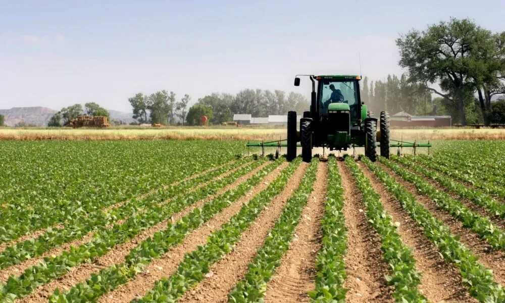 New Agricultural Map Set to Safeguard High-Potential Lands in Casablanca-Settat