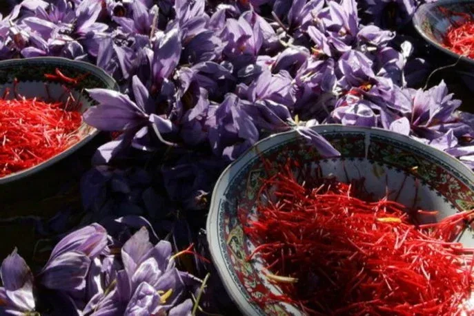 Celebrating Cultural Richness: Contemporary Art and Local Products Shine in Agadir and Boulemane