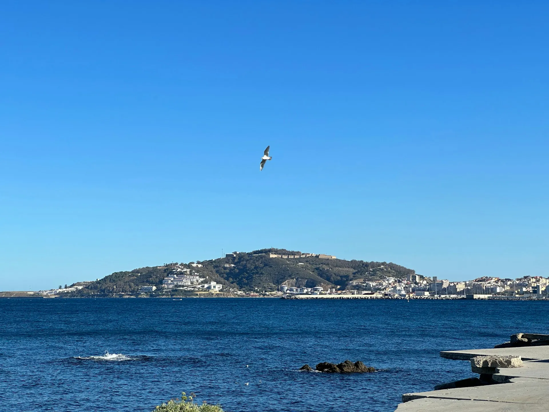 The Border Spectacle of Ceuta: A Historical and Geopolitical Analysis