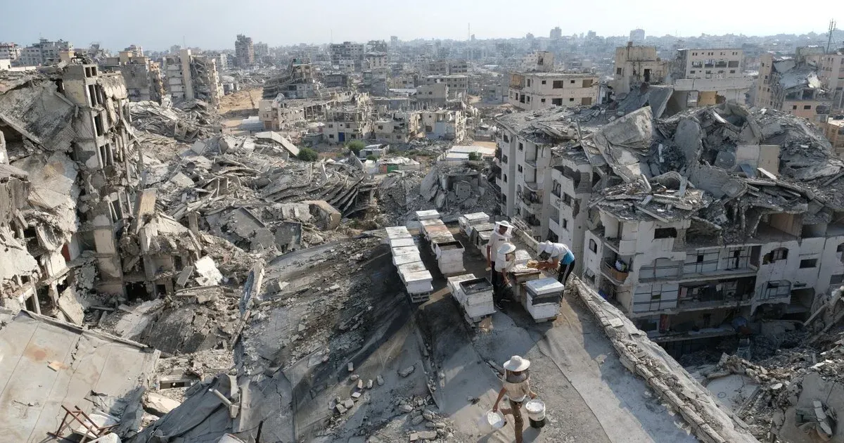 Trump's Peace Board Issues First Contract for Gaza Reconstruction with Moroccan Troops