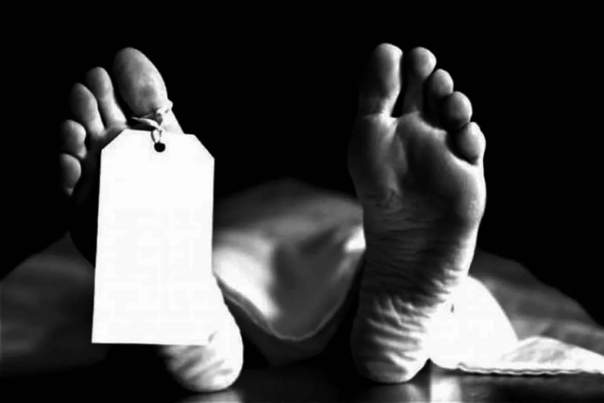 Tragic Incident in Fez: Man in His Fifties Stabbed to Death as Authorities Detain Suspect
