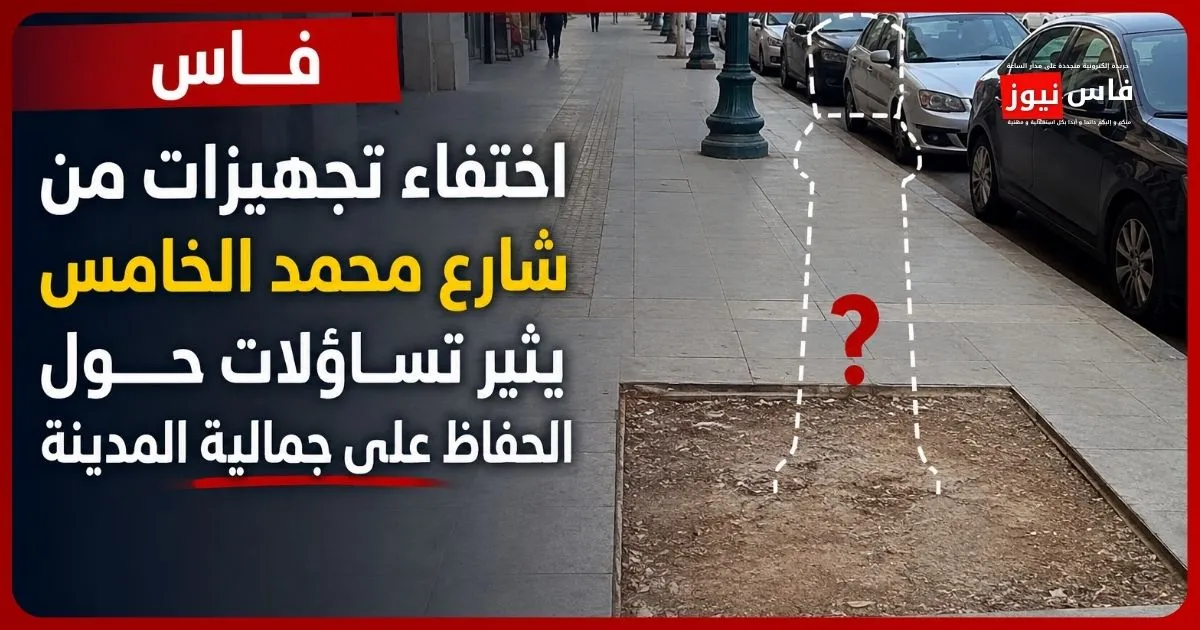 Preserving the Aesthetic Appeal of Mohammed V Street in Fes: A Call to Action