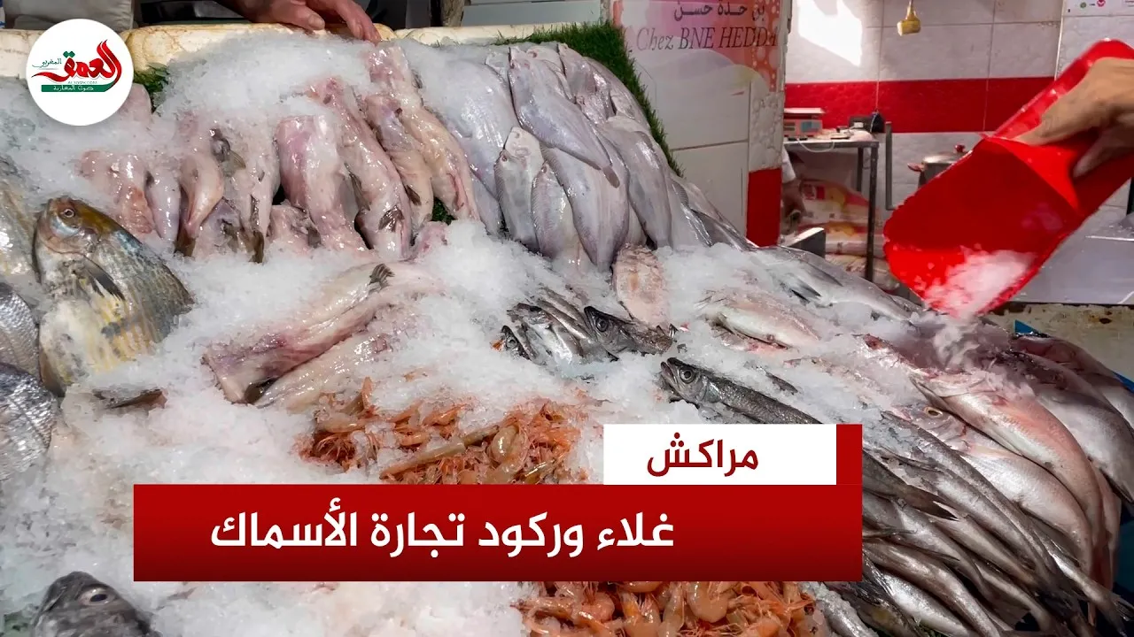 Marrakech Fishmongers Struggle Amidst Rising Cooling Costs and Diminishing Supply