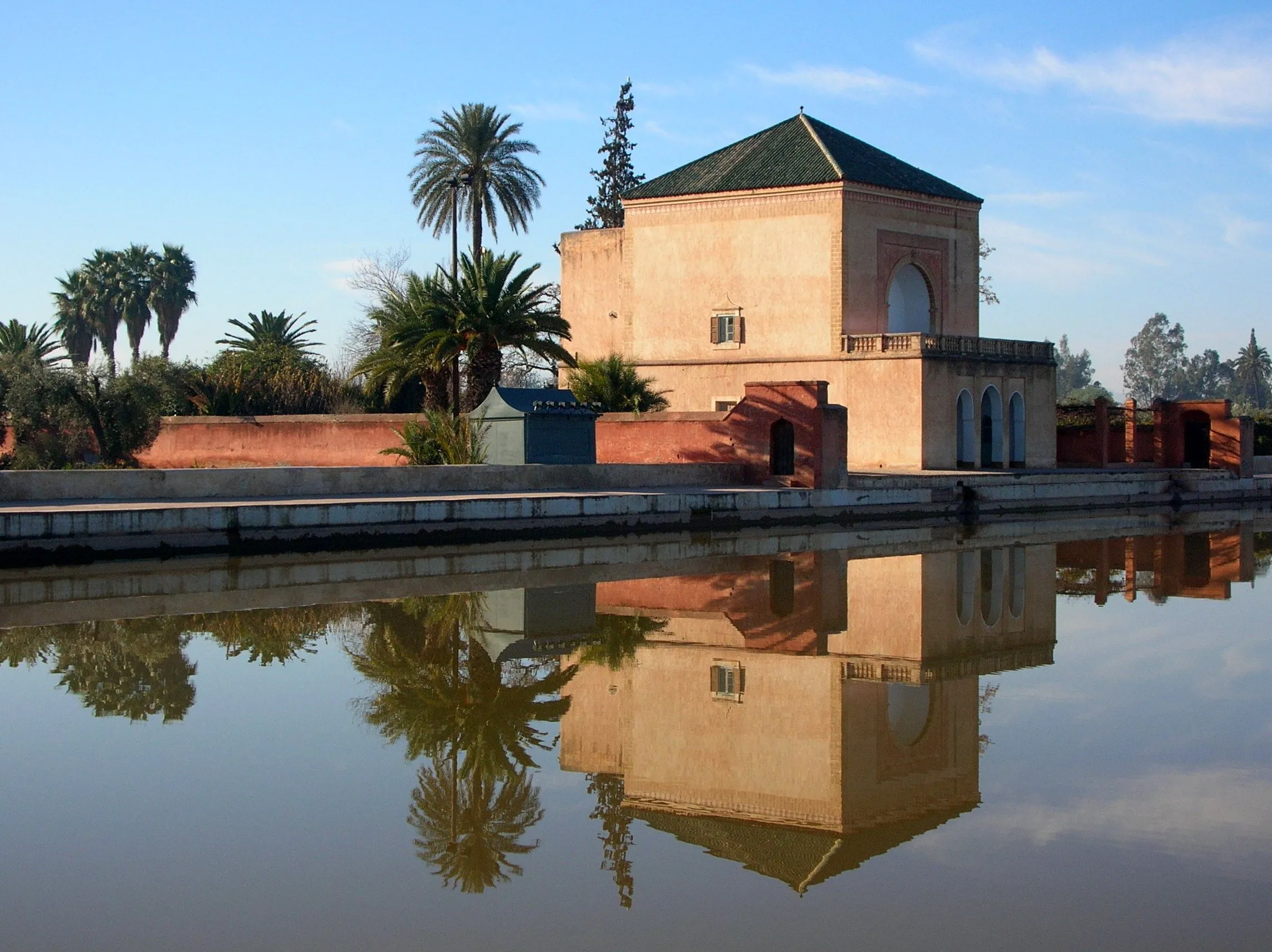 Tragic Discovery in Marrakech: Body Found Hanging from a Tree