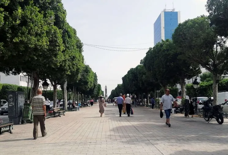 Unprecedented Decline in Birth Rates in North Africa: A Deep Demographic Shift