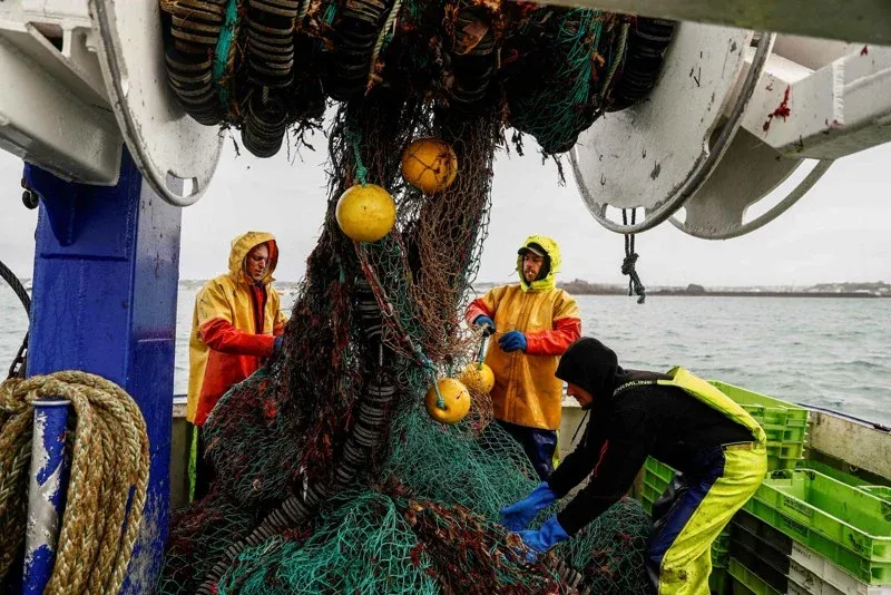 Brussels Acknowledges Ignoring Morocco's Desire for Fishing Agreement Renewal