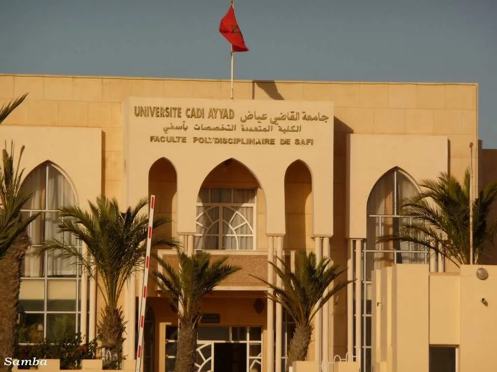 Cadi Ayyad University Tops Rankings in Morocco and Maghreb