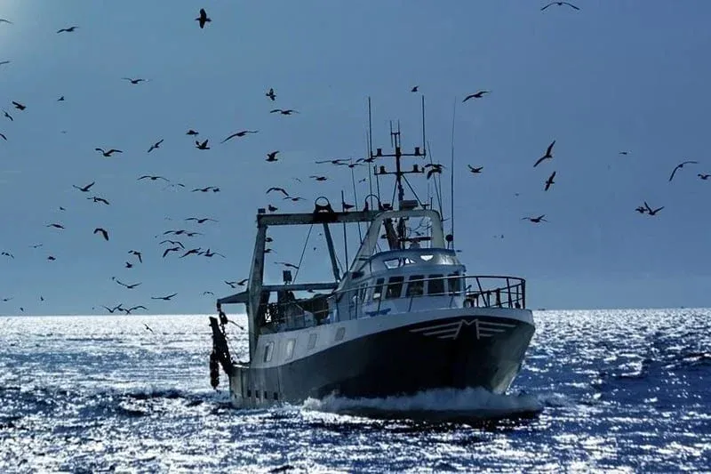 EU Seeks to Maintain Fishing Partnership with Morocco Amidst Uncertain Negotiation Timeline
