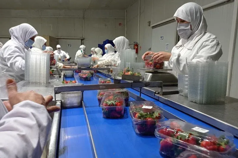 Morocco Ranks Among the Top 60 Countries in Economic Freedom Index