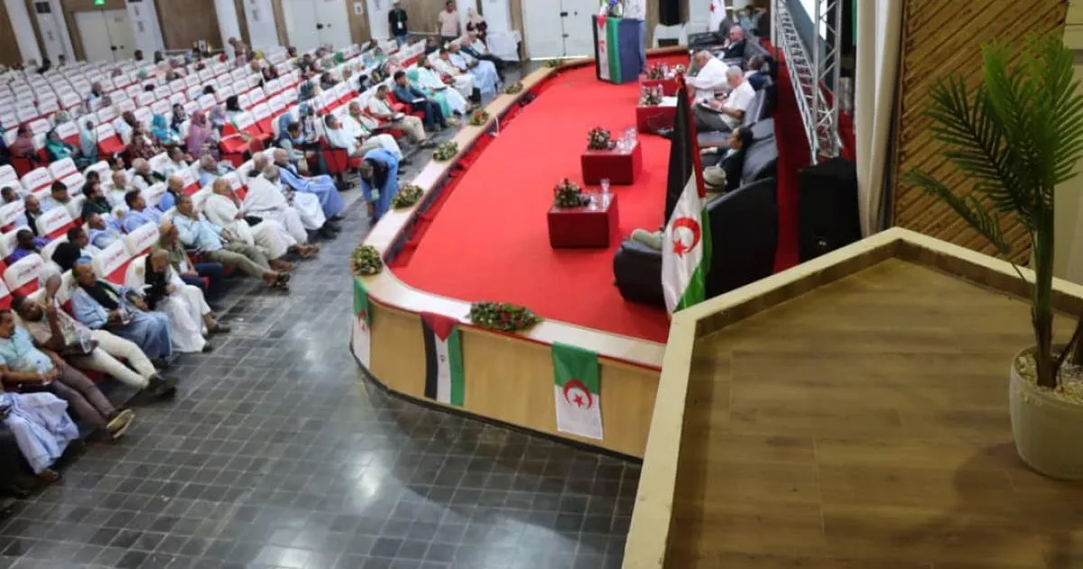 Insights from the Summer University for Executives: Upholding Sahrawi Rights and Addressing Global Challenges