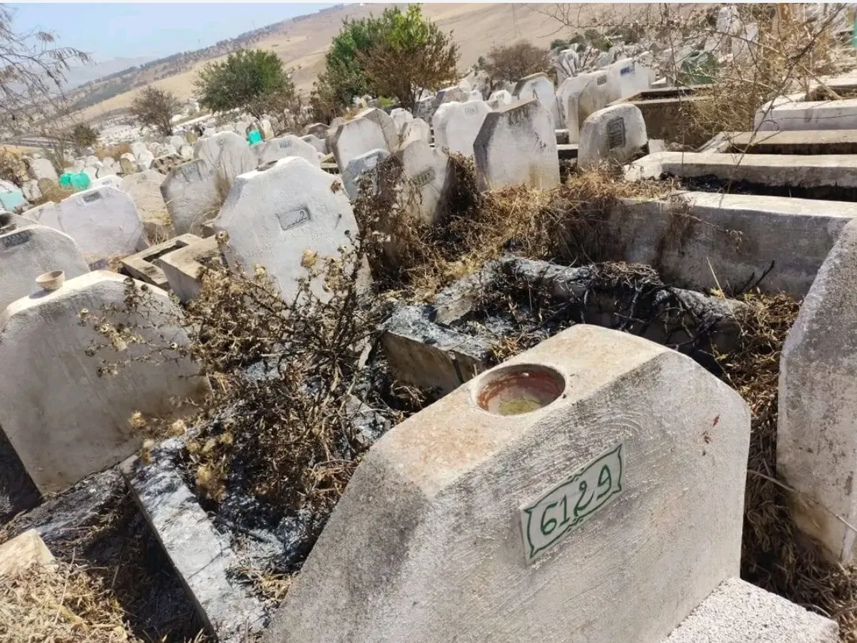 Who Benefits from the Revenues of the Wislane Cemetery in Fes? Unresolved Questions Regarding Grave Management