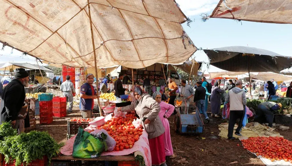 Declining Fertility Rates in the Arab Maghreb: The Acceleration of Aging Population