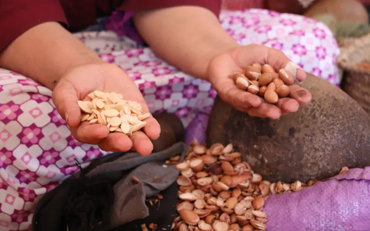 Morocco's Argan Oil: A Valuable Resource Yet to Be Fully Capitalized