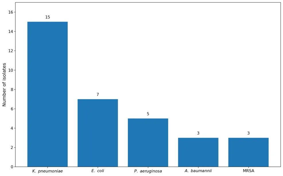Evaluating the Efficacy of Hospital Biocides Against Multidrug-Resistant Bacteria in Morocco
