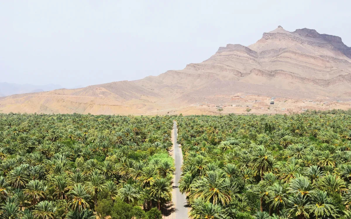 Water Stress in Morocco and Algeria: A Tale of Two Different Challenges