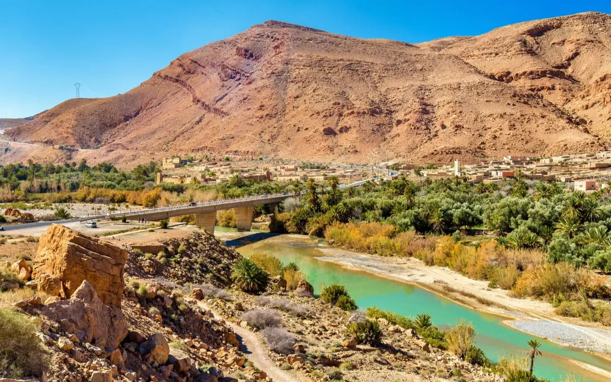 Cooling Effects of Vegetation on Surface Temperatures in Errachidia, Morocco
