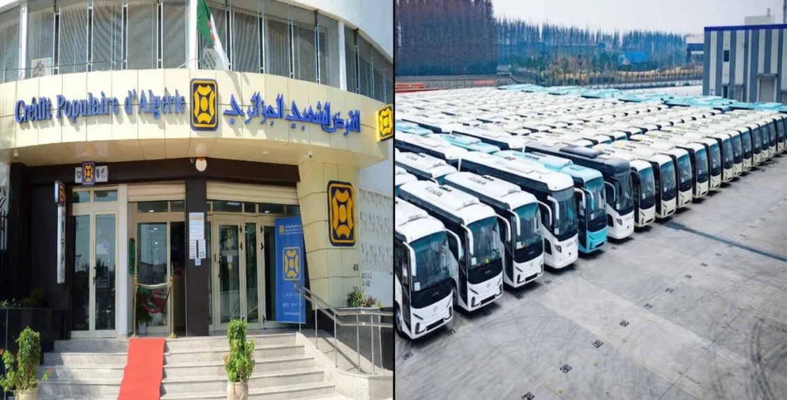 New Bus Financing Program Launched by Algerian Popular Bank