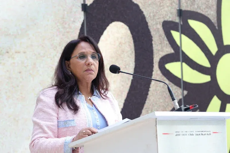 UN Recognizes Moroccan Initiatives in Combatting Digital Violence and Promoting Children's Rights