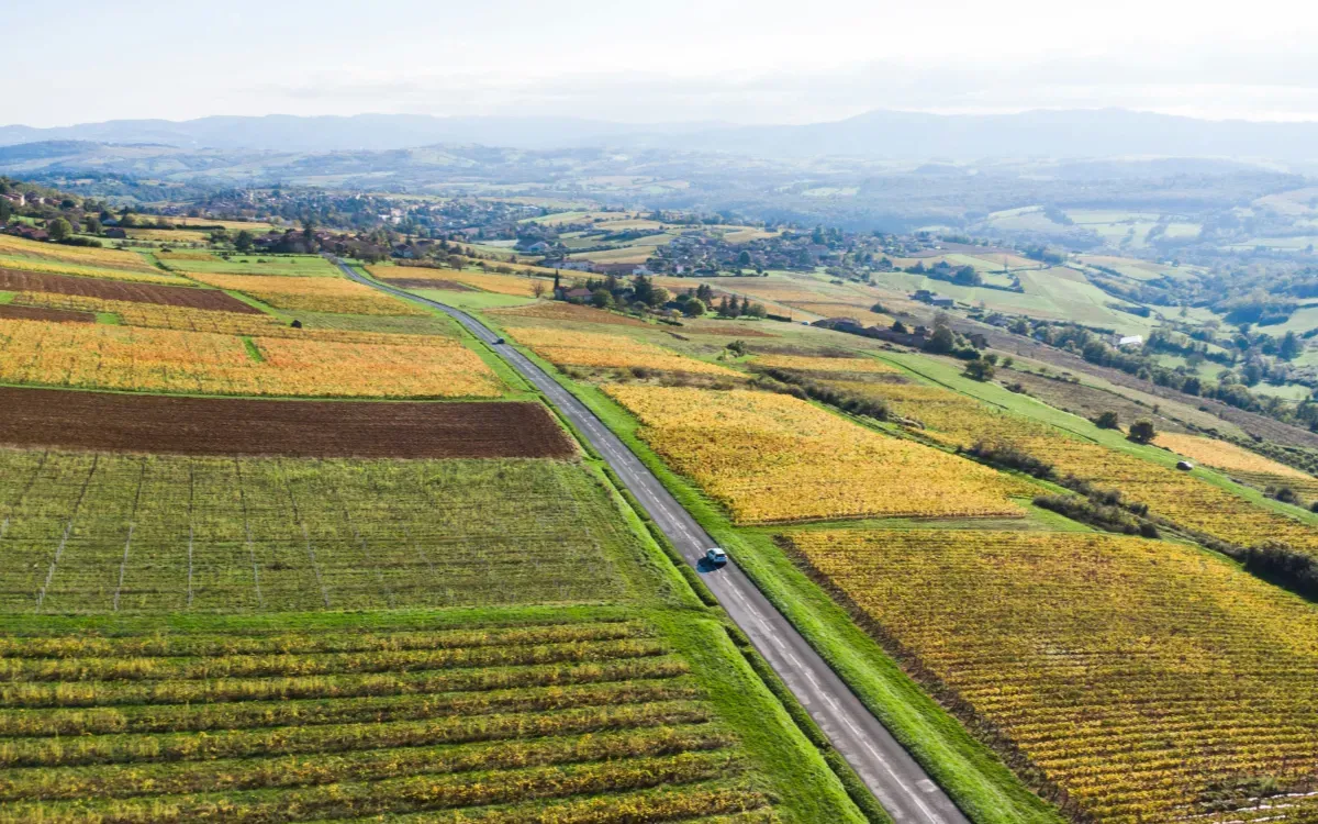 OCP's Commitment to Reducing Cadmium in Fertilizers for the EU Market