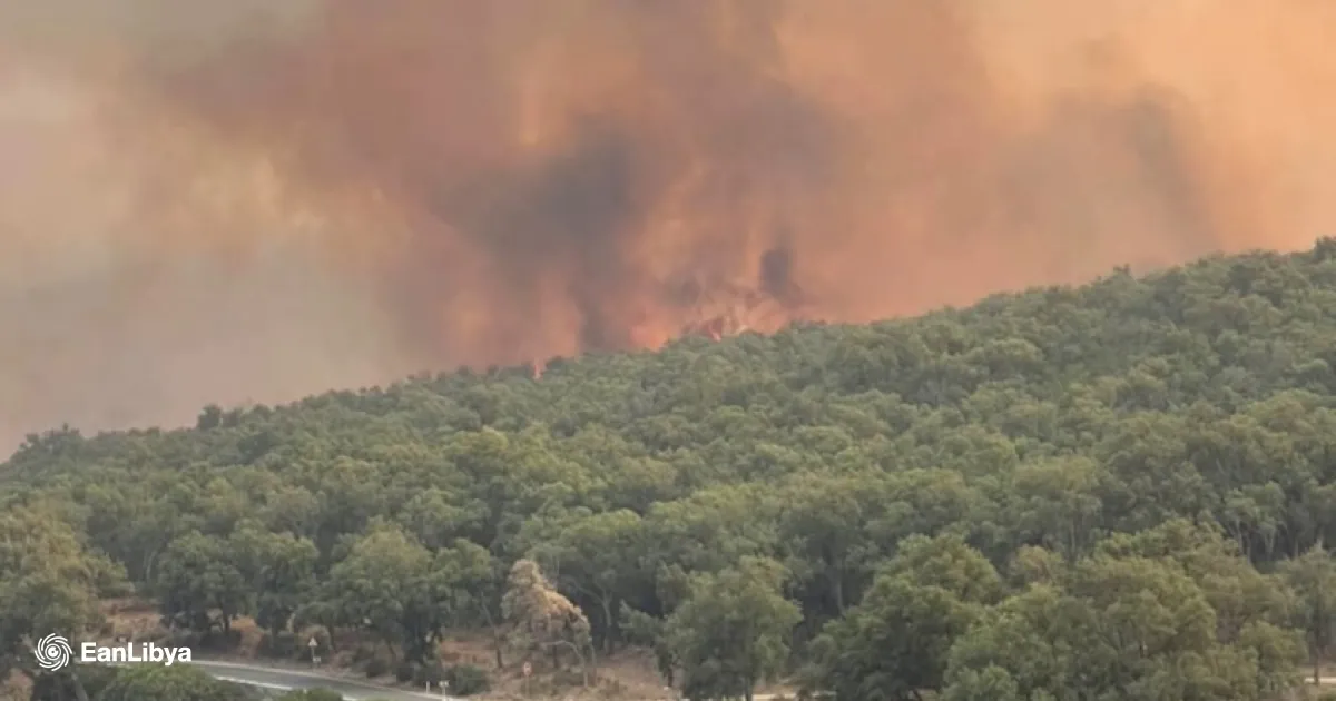 Wildfire Engulfs Moroccan Forests: Large-Scale Efforts Underway to Control the Blaze