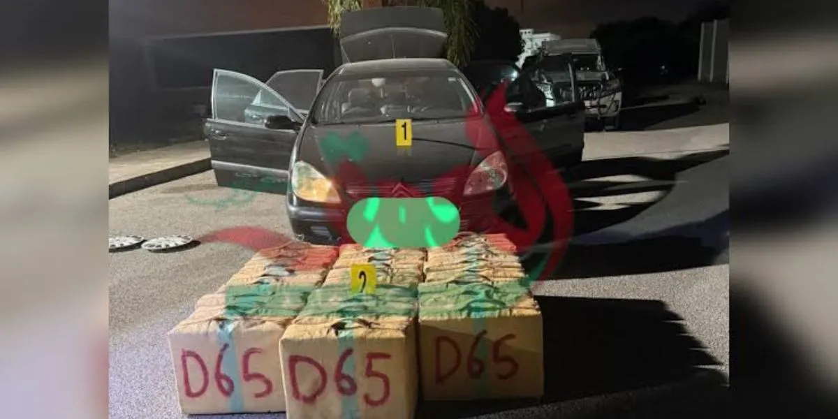 Major Drug Smuggling Attempt Foiled by Moroccan Authorities