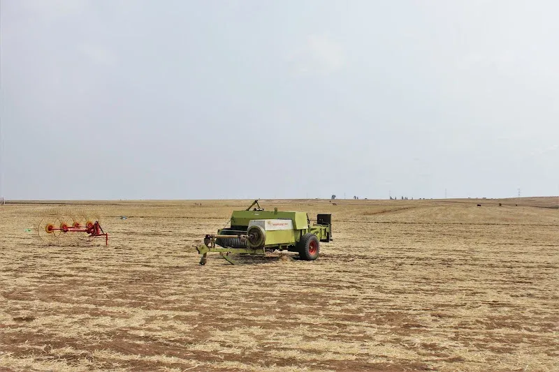 Labor Crisis in Morocco: Impact on Real Estate, Agriculture, and Manufacturing Sectors