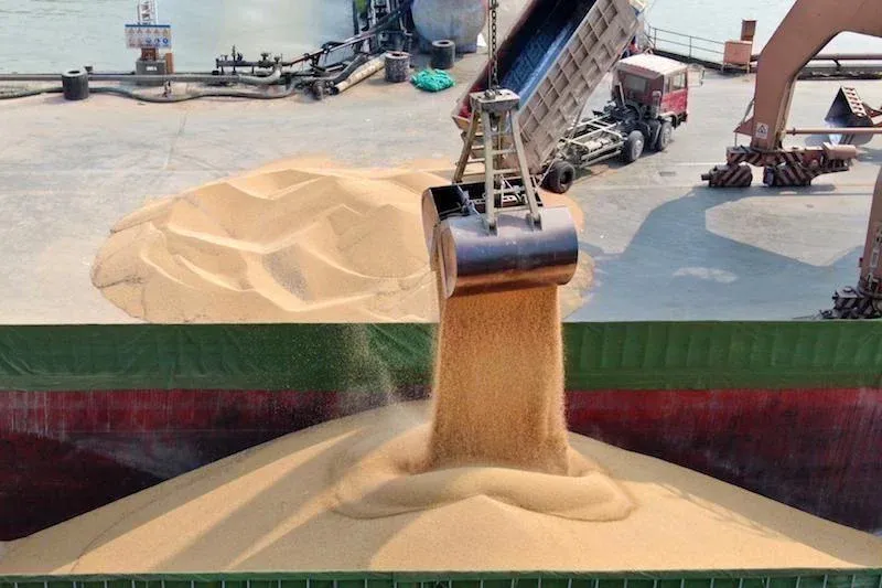 Morocco's Resumption of Soft Wheat Import Subsidies Promises European Market Revival