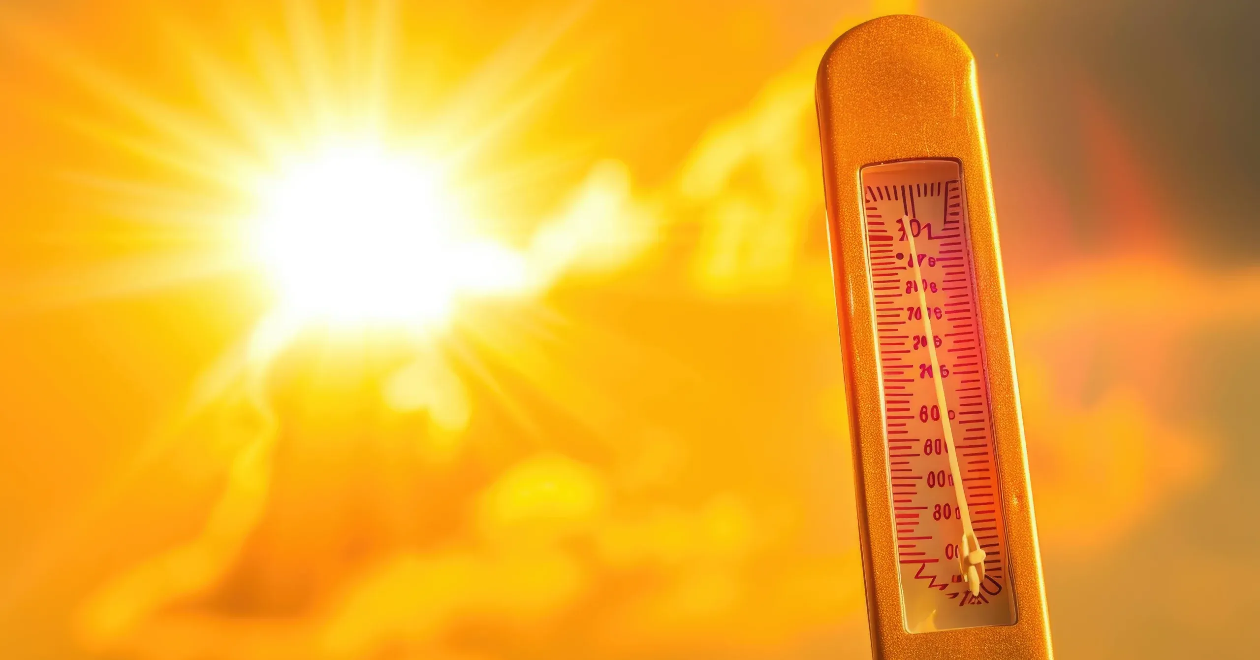 Weather Update for Tuesday: Hot Conditions with Fog Formation Across the Kingdom