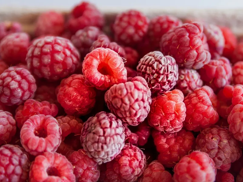 Morocco Strengthens Its Leadership in the UK Raspberry Market
