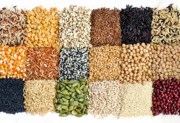 Moroccan Local Seeds: A Crucial Matter of Food Sovereignty