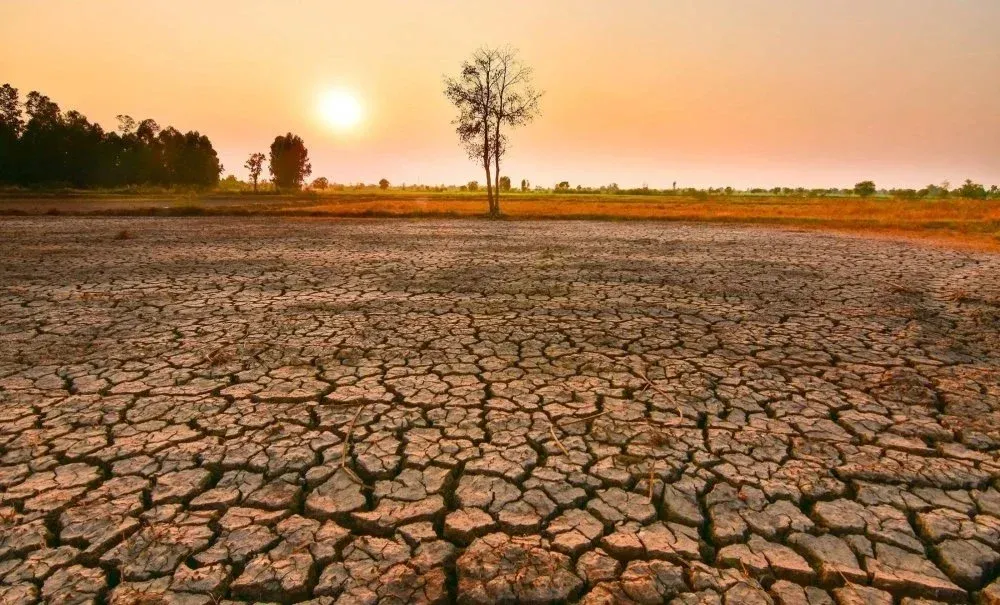 Morocco's 2026-2027 Agricultural Season Faces Climate Challenges Amid El Niño Concerns