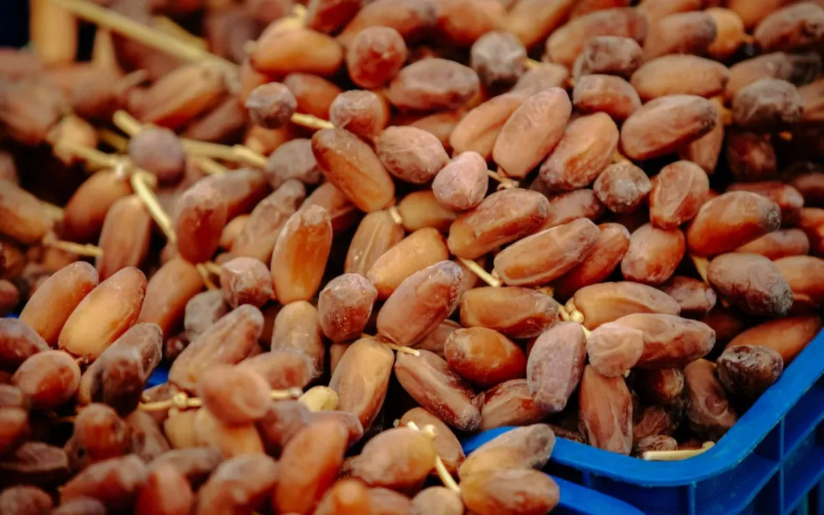 Tunisian Date Exporters Shift Focus to Asia Amid Moroccan Import Restrictions