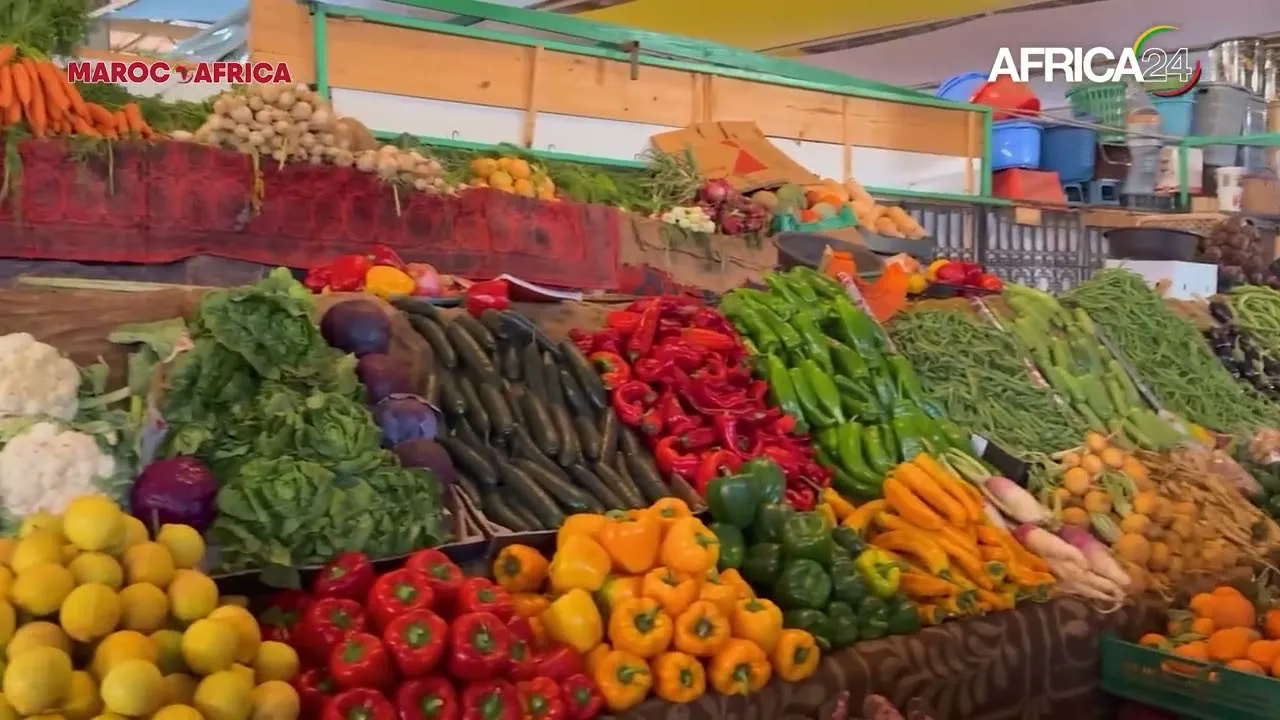 Agadir, Morocco: A Rising Economic Hub with 38,125 Tonnes of Fish Products in 2024