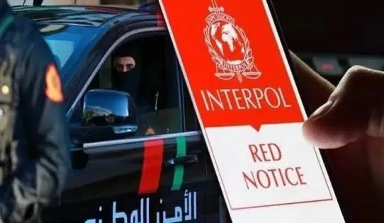 International Drug Trafficker Arrested in Marrakech