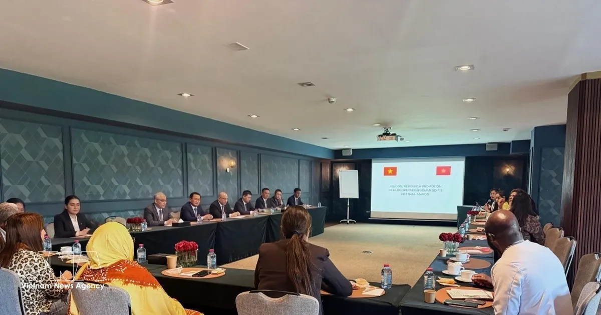 Vietnam and Morocco Trade: Unlocking Significant Potential for Vietnamese Products