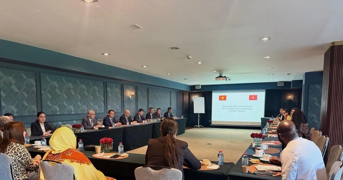 Vietnam's Trade Expansion: Morocco as a Key Gateway to North Africa