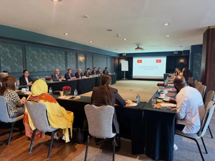 Vietnam-Morocco Trade Relations: A Growing Economic Partnership