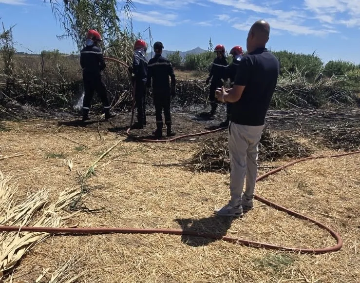Major Arrest in Fire Incident in M'diq: Authorities Act Swiftly