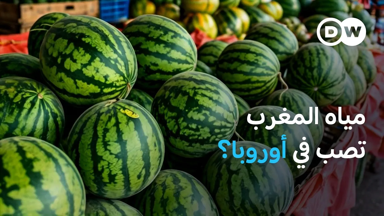 Morocco's Water Crisis: The Paradox of Fruit Exports to Europe
