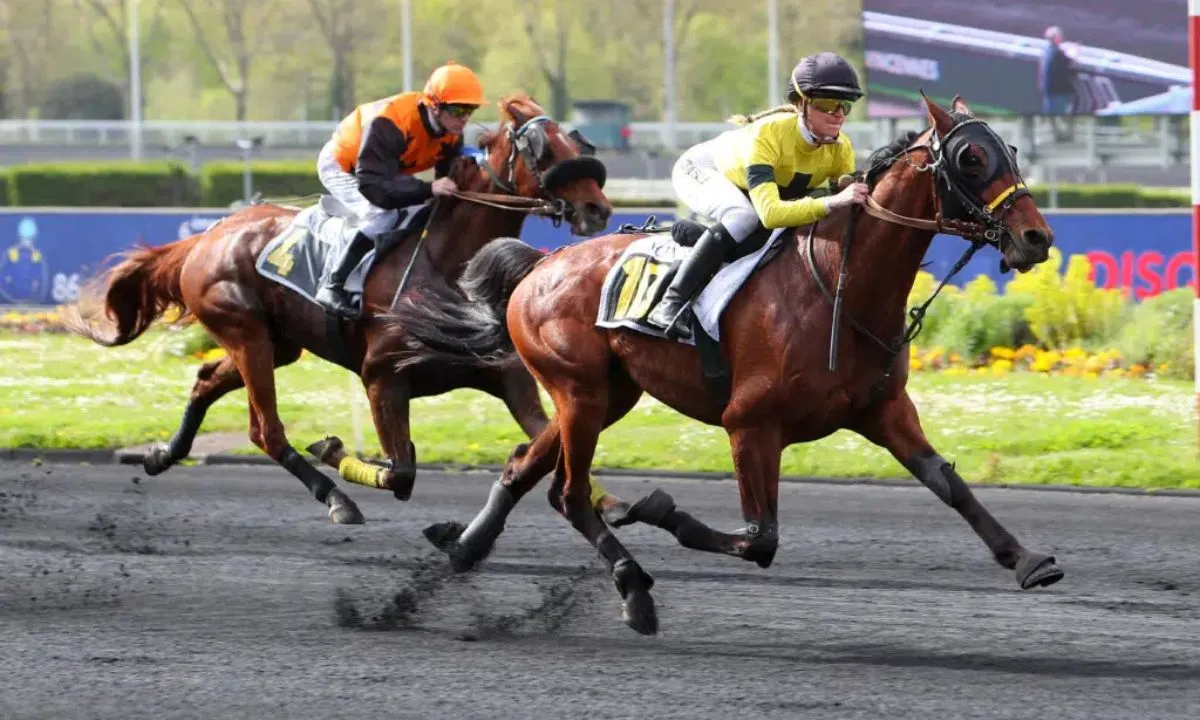 Analyzing the Prix Chantilly R2 - C8: A Comprehensive Overview