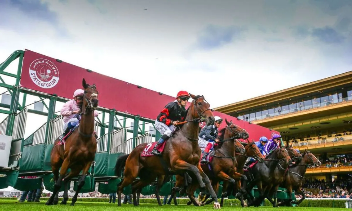 Preview of the Bettacha Prize Race (R2 - C3) at Casablanca
