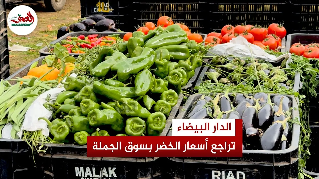 Casablanca's Wholesale Market: Surplus Supply Leads to Falling Vegetable Prices