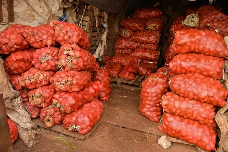 European Potato Exports to Morocco Surge by 50% in Recent Years