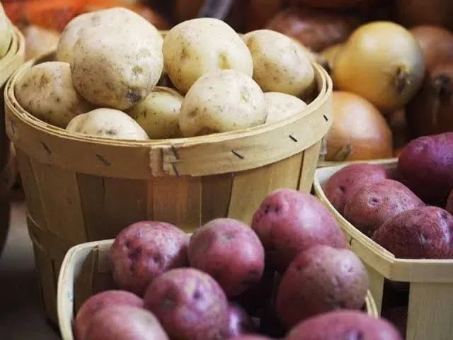 Morocco Sets Record for Potato Imports in 2025/2026